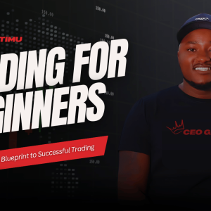 The Beginner’s Blueprint to Successful Trading